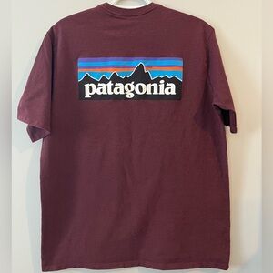 Patagonia Men’s P-6 Responsibili-Tee